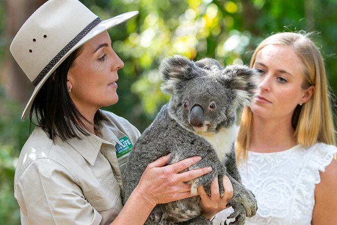 Currumbin Wildlife Sanctuary General Entry Ticket - The Sum Up