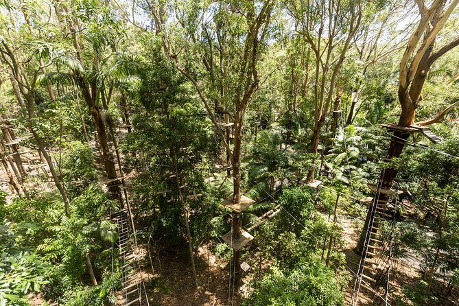 Currumbin Wildlife Sanctuary Pass + The Treetop Challenge - Practical Details to Keep in Mind