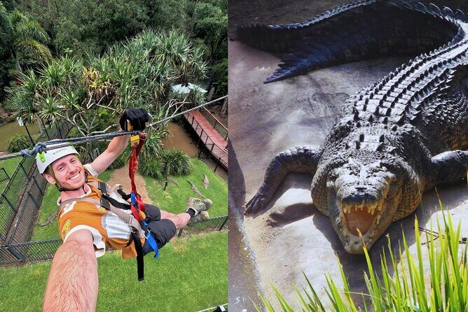 Currumbin Wildlife Sanctuary Pass + The Treetop Challenge - Authentic Traveler Insights