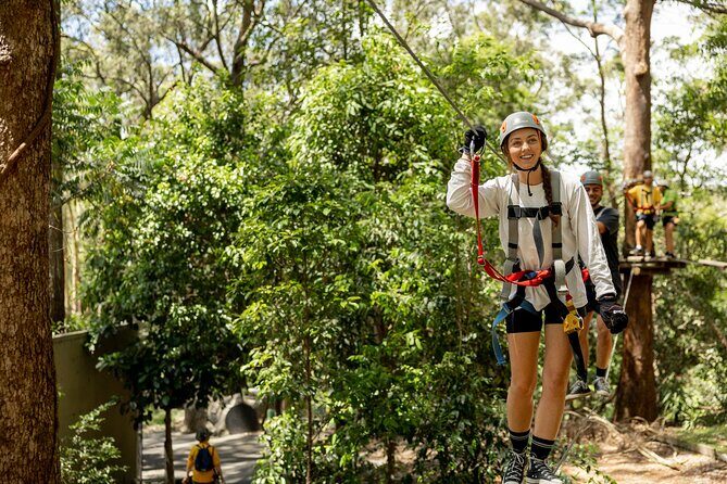 Currumbin Wildlife Sanctuary Pass + The Treetop Challenge - FAQ