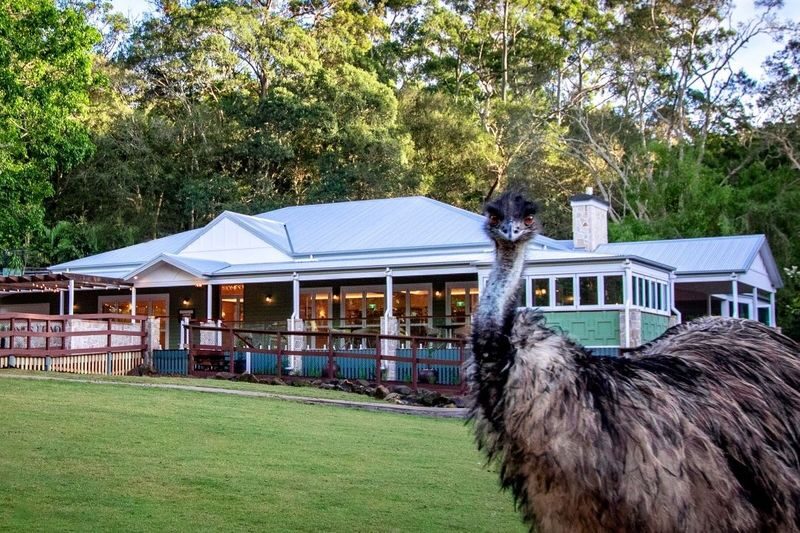 Currumbin Wildlife Sanctuary Ticket - Use the train, but check its timetable