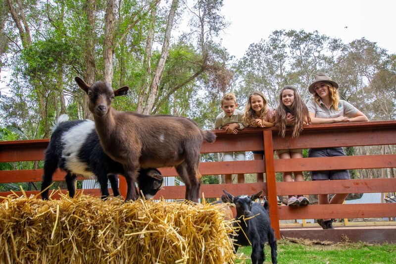 Currumbin Wildlife Sanctuary Ticket - Consider the ticket price and the extras
