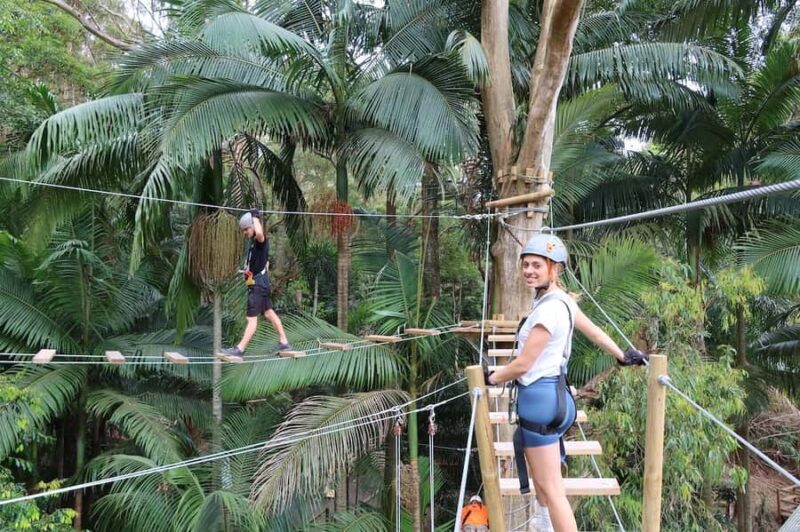 Currumbin Wildlife Sanctuary & TreeTop Challenge Combo - The TreeTop Challenge: High Ropes & Ziplining