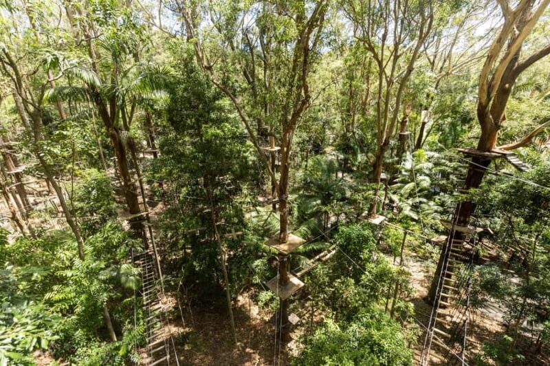 Currumbin Wildlife Sanctuary & TreeTop Challenge Combo - The Challenge’s Practical Details