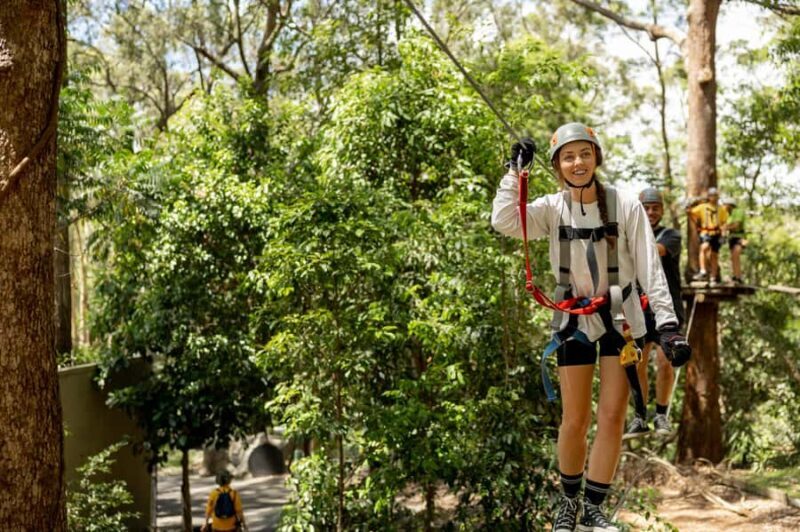 Currumbin Wildlife Sanctuary & TreeTop Challenge Combo - The Sum Up