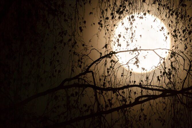 Curse of the Doomed Passage Escape Game in Flaine - A Deep Dive into the Flaine Escape Game Experience