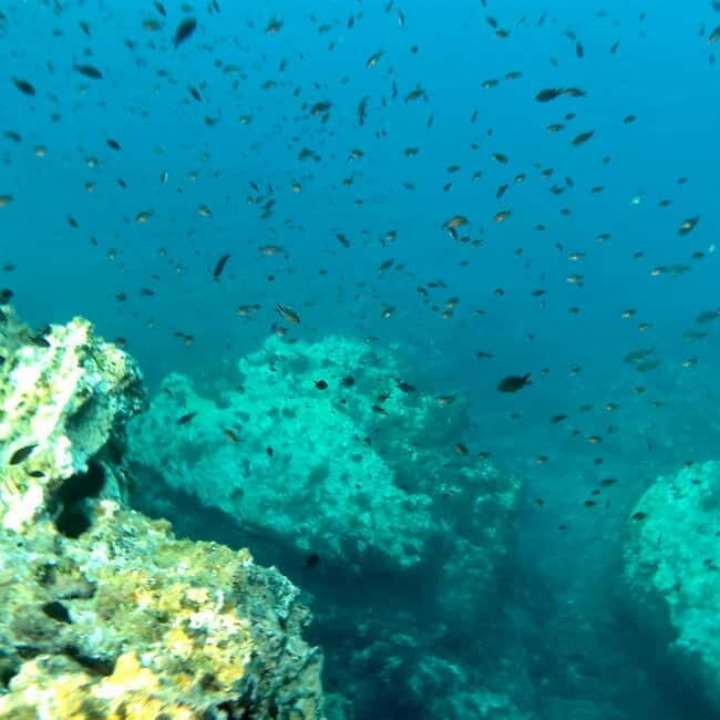 Curso de PaddleSurf, Visita Cuevas y Calas secretas, Snorkel - Ending Back at the Starting Point