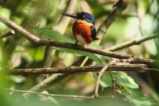 Curú Wildlife Refuge With Transportation - Pickup and Drop-off