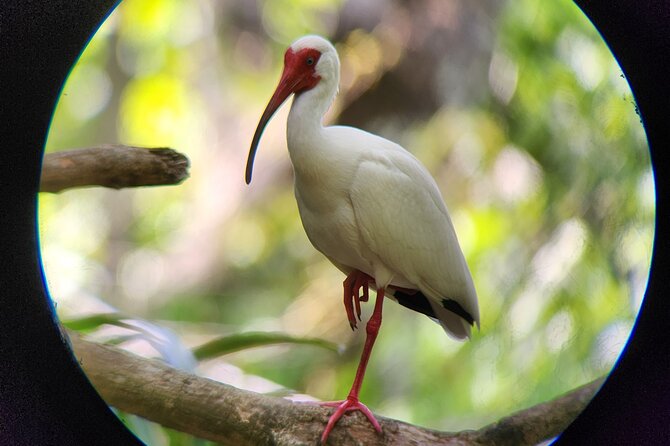 Curú Wildlife Refuge With Transportation - The Sum Up