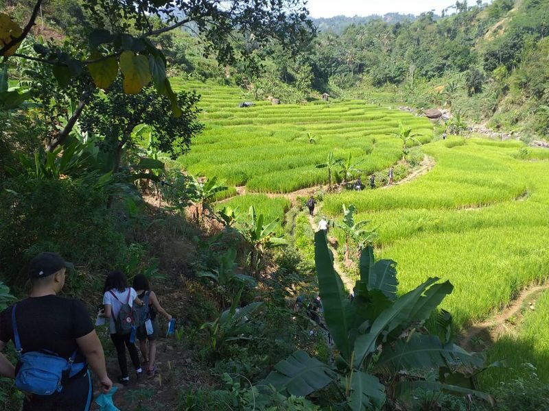 Curug Leuwi Hejo and Hutan Babakan Trekking in Bogor - Waterfall stops and what to expect