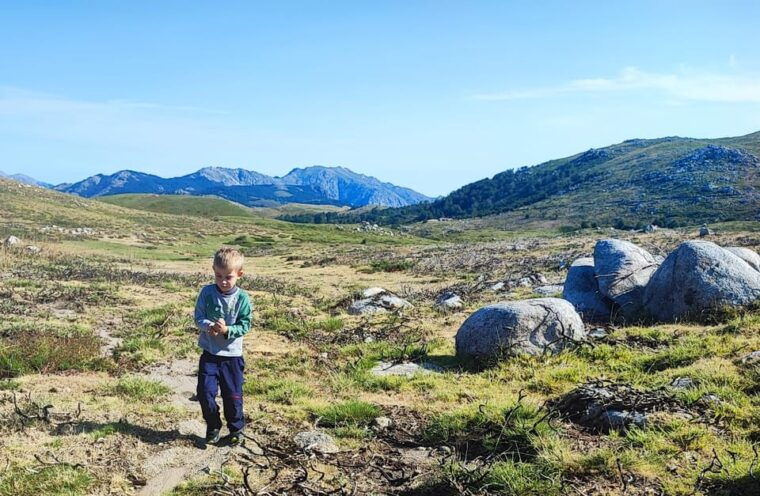 Cuscionus Plateau, 1000 Waterholesgrass : Pozzines - Getting There and Accessibility