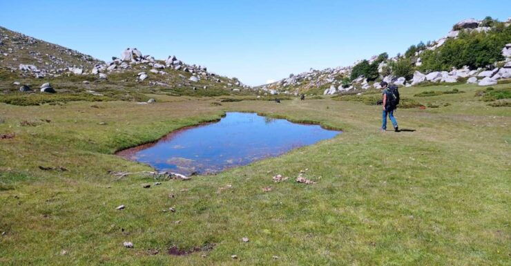 Cuscionu's Plateau, 1000 Waterholes'grass : Pozzines - Good To Know