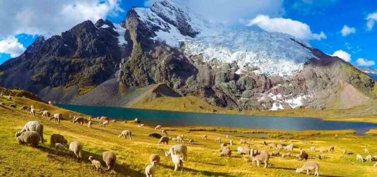 Cusco: 7 Lagoons of Ausangate Hiking Day Trip With Lunch - Good To Know