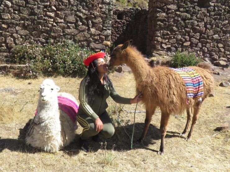 Cusco: Alcapa Therapy Handcrafted Creativity Private - Activity Details