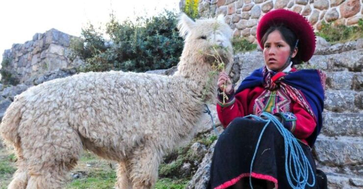 Cusco: Alpaca Therapy Healing With Clay - Lunch - Private - Activity Overview