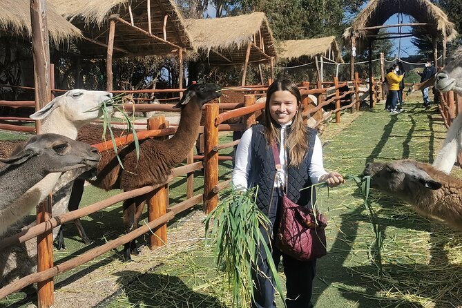 Cusco and Sacred Valley Full-Day Tour From Cusco - Round-Trip Travel From Cusco Hotel