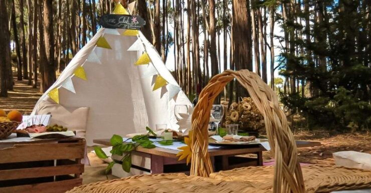 Cusco: Archaeological Centers Picnic Paint Half Day - Experience and Activities