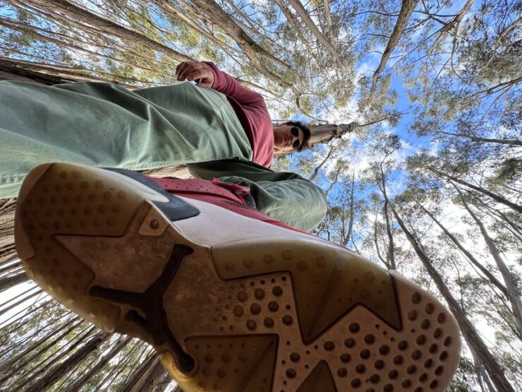 Cusco: Archeological Sites Tour and Forest Photo Experience - Experience Highlights