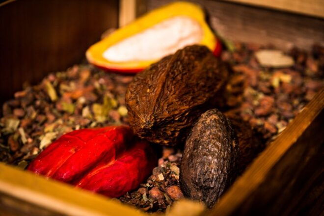 Cusco: Chocolate Making Workshop - Workshop Highlights