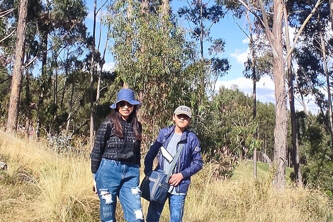 Cusco City Private Tour - Reviews