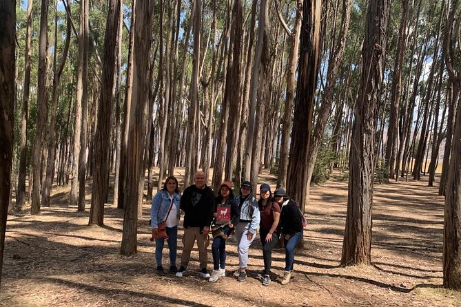 Cusco City Tour - Questions and Help