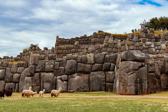 Cusco City Tour - Cuscos Gastronomic Delights