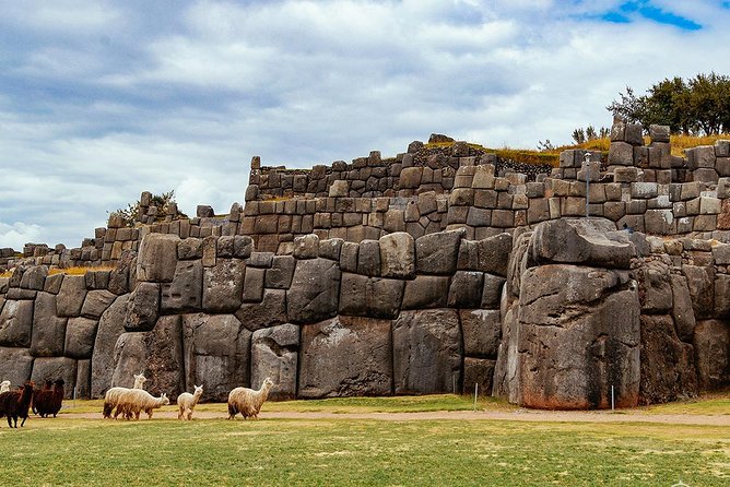 Cusco City Tour (Half Day Tour) - Reviews