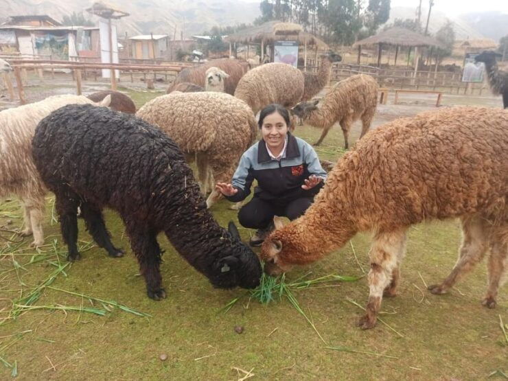 Cusco: City Tour Photography Experience - Tour Overview