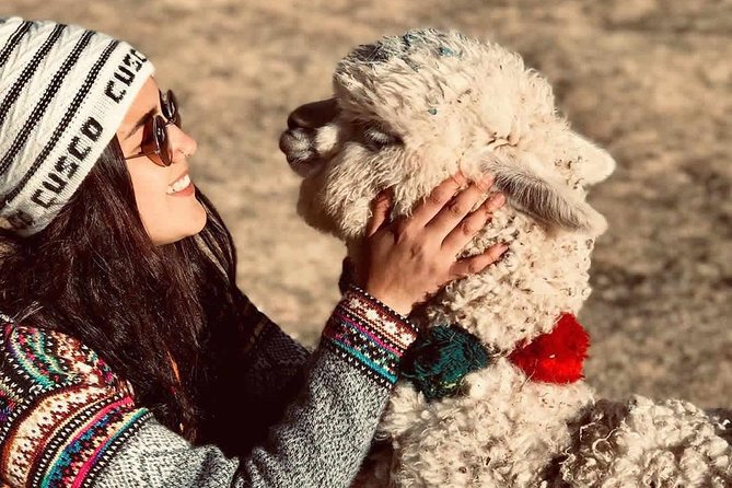 Cusco City Tour: Sacsayhuaman Qenqo PucaPucara and Tambomachay - Highlights of the Cusco City Tour