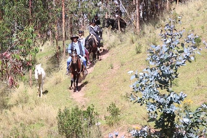 Cusco Day Tour Horse Riding Mystic Tour Full Service The Most Recommended - Common Questions