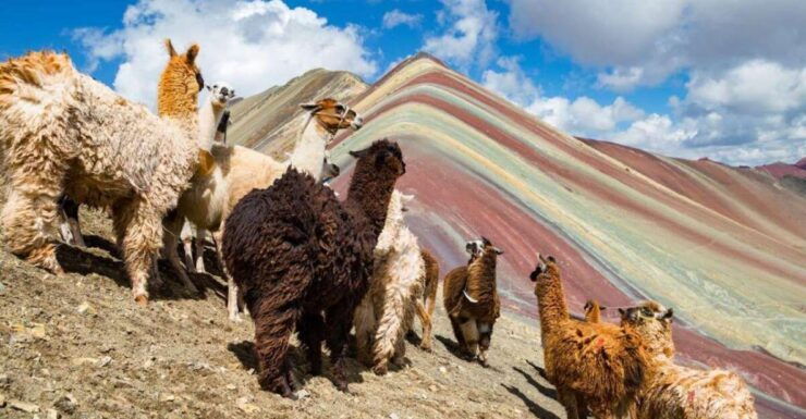 Cusco: Excursion to Rainbow Mountain Full Day - Good To Know