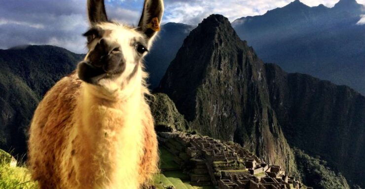 Cusco: Full-Day Machu Picchu Tour - Tour Details