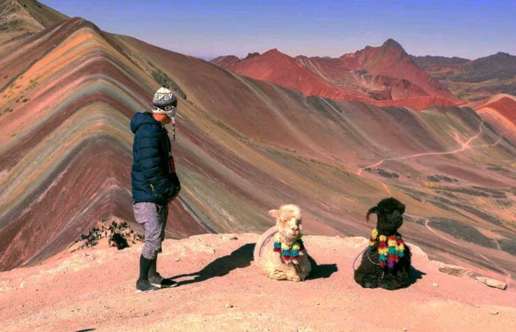 Cusco: Full Day Rainbow Mountain Tour - Mountain of Colors - Good To Know