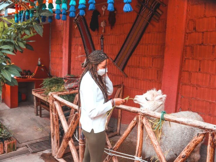 Cusco: Guided Day Tour to Maras, Moray and Salt Flats - Tour Details