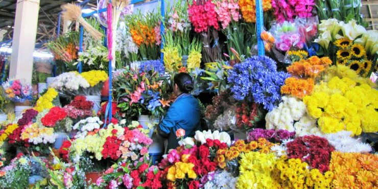 Cusco: Historical Walking Tour and Market Visit - Experience Highlights