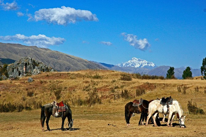 Cusco Horseback Riding Tour Around Sacsayhuaman - Reviews