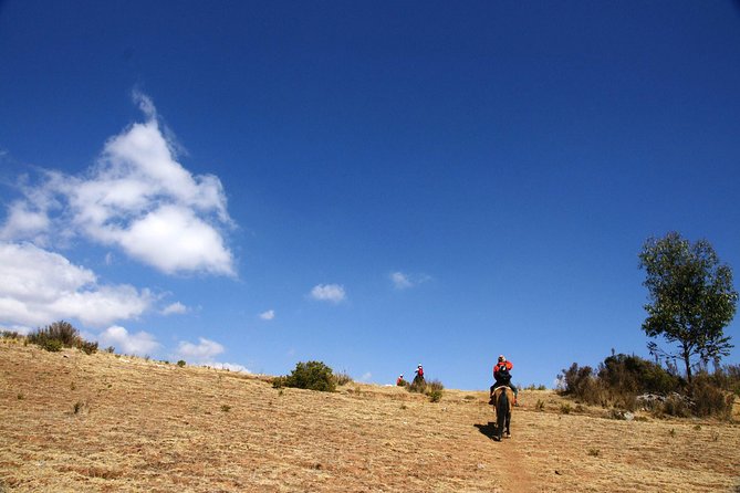 Cusco Horseback Riding Tour Around Sacsayhuaman - Guide Experience