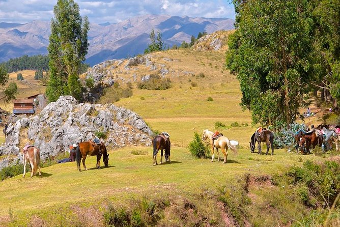 Cusco Horseback Riding Tour Around Sacsayhuaman - Customer Feedback