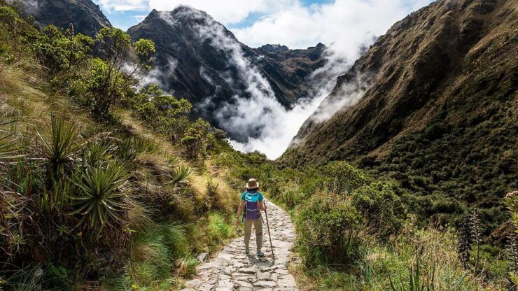 Cusco: Inca Trail 2 Days Trekking - Machu Picchu - Experience Highlights