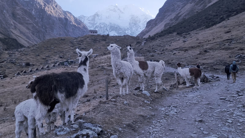 Cusco Laguna Humantay Full-Day Big Group Tour - The hike to Humantay Lake