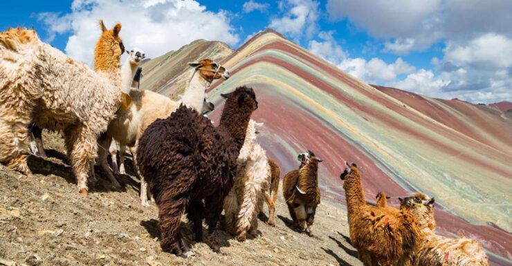 Cusco: Machu Picchu and Rainbow Mountain 5-Days Tour - Tour Highlights and Experiences