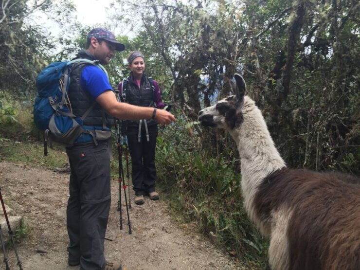 Cusco: Machu Picchu Inca Trail 4-Day Trek - Trek Experience
