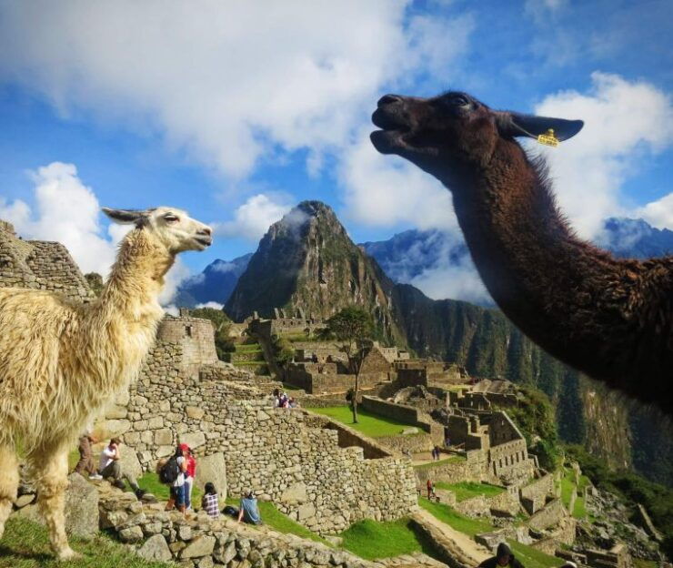 Cusco Magical Cusco in Private 6D 3 Star Hotel - Tour Experience