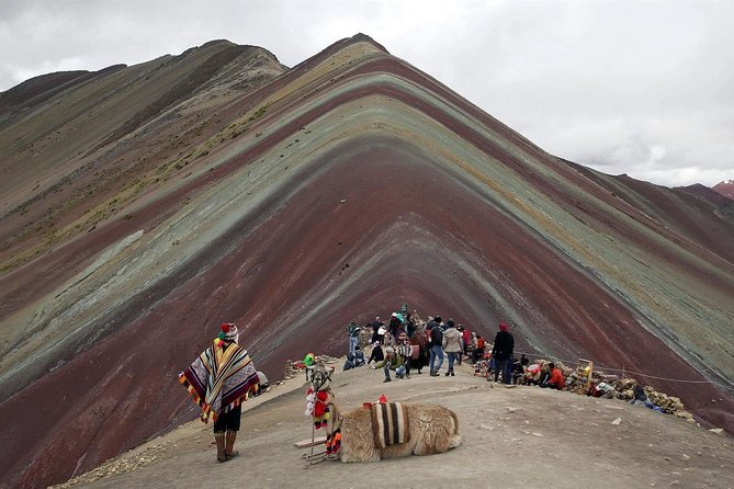 Cusco & Manu (8 Days Package Tour) - Questions and Assistance