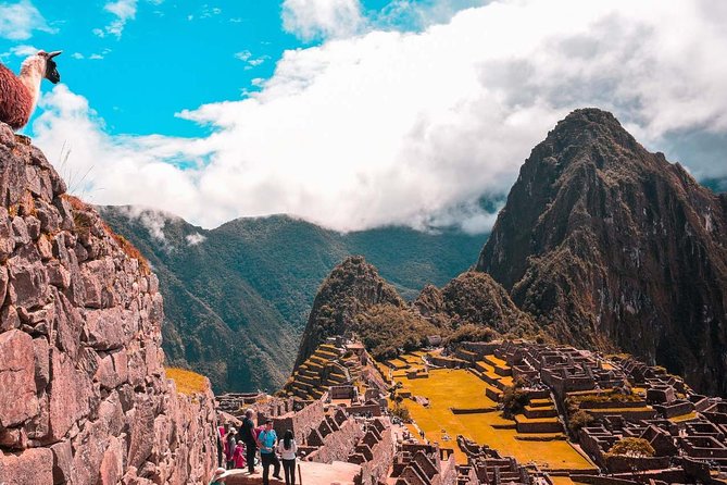 Cusco & Manu (8 Days Package Tour) - Pricing and Terms
