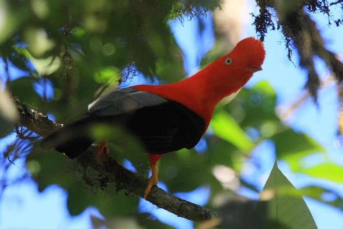 Cusco & Manu (8 Days Package Tour) - The Sum Up