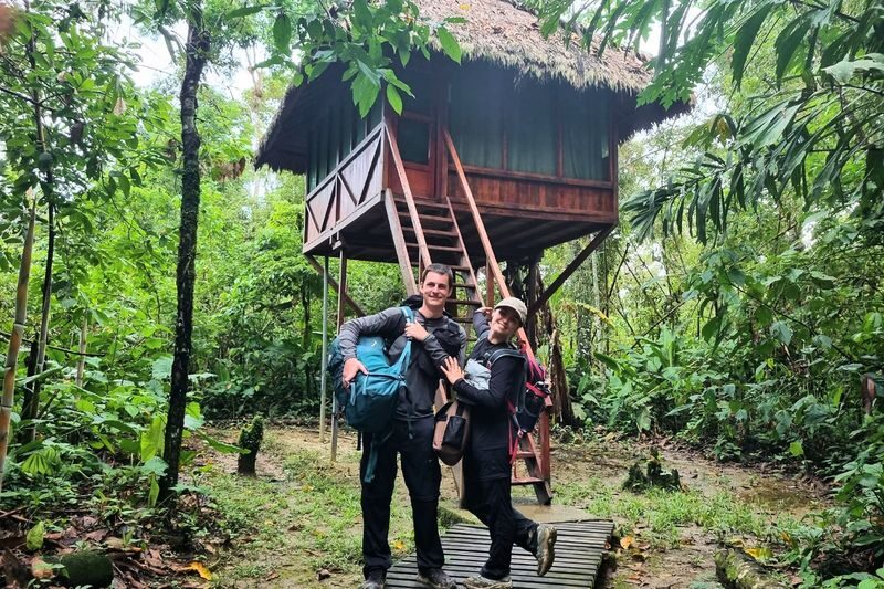 Cusco Manu Cloud Forest 5-Day Small Group Safari - From Cusco to Tres Cruces and the cloud forest