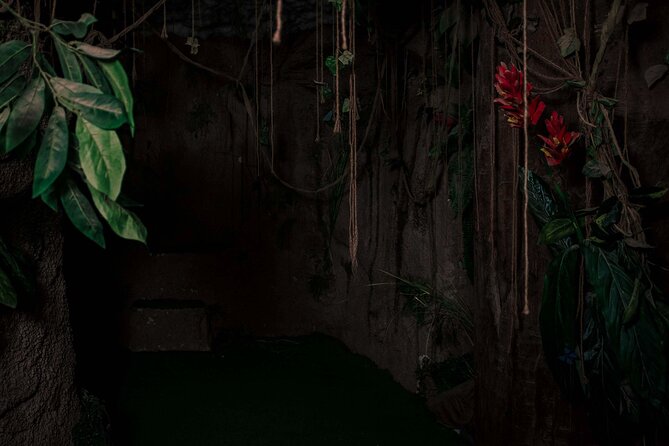 Cusco Peruvian House of Horror Adventure - Behind the Scenes of the House of Horror