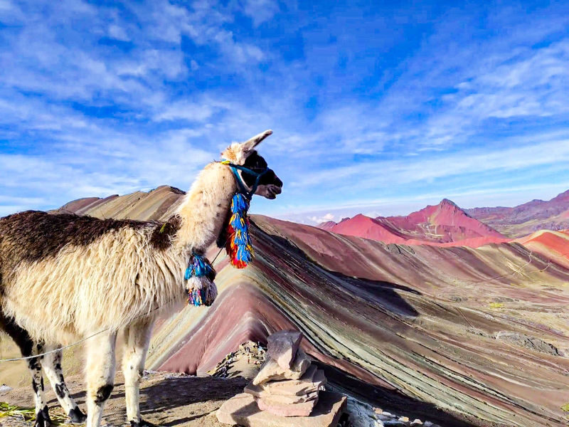 Cusco Rainbow Mountain & Red Valley Full-Day ATV Tour - The final stretch: walk, or ask about a horse