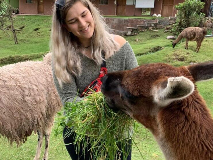 Cusco: Sanctuary of Animals Rescued "Cochahuasi" - Activity Details